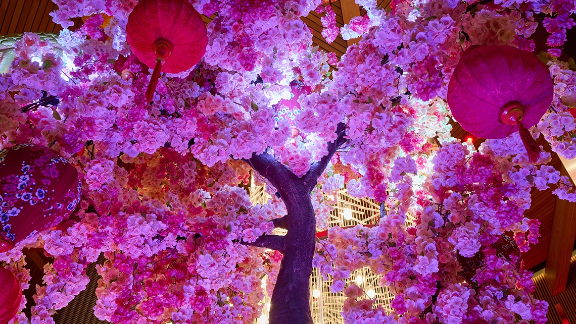 Year of the Horse Hotel Offer - 2